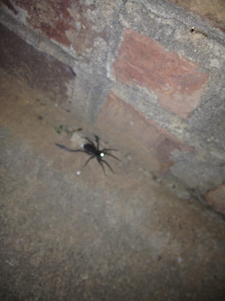 SQUIRE HILL APARTMENTS Updated September 2024 4018 Chippendale Dr