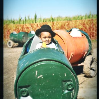 Relleke Farms - Pumpkin Patches Near Me - Pontoon Beach, Illinois