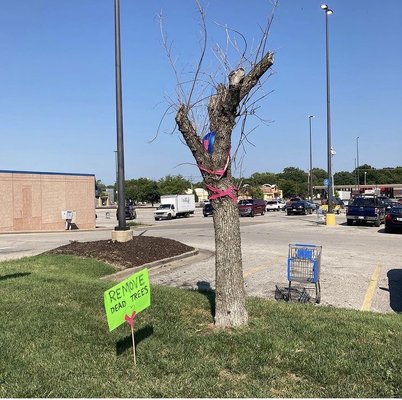 Walmart by null