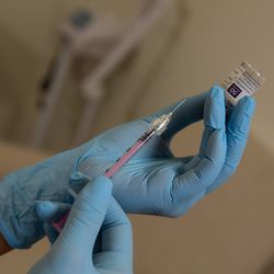 Botox, Xeomin, Neurotoxins, Injectables. APRN Lead Injector, Pro Injector, Certified Injector, Protox, Professional