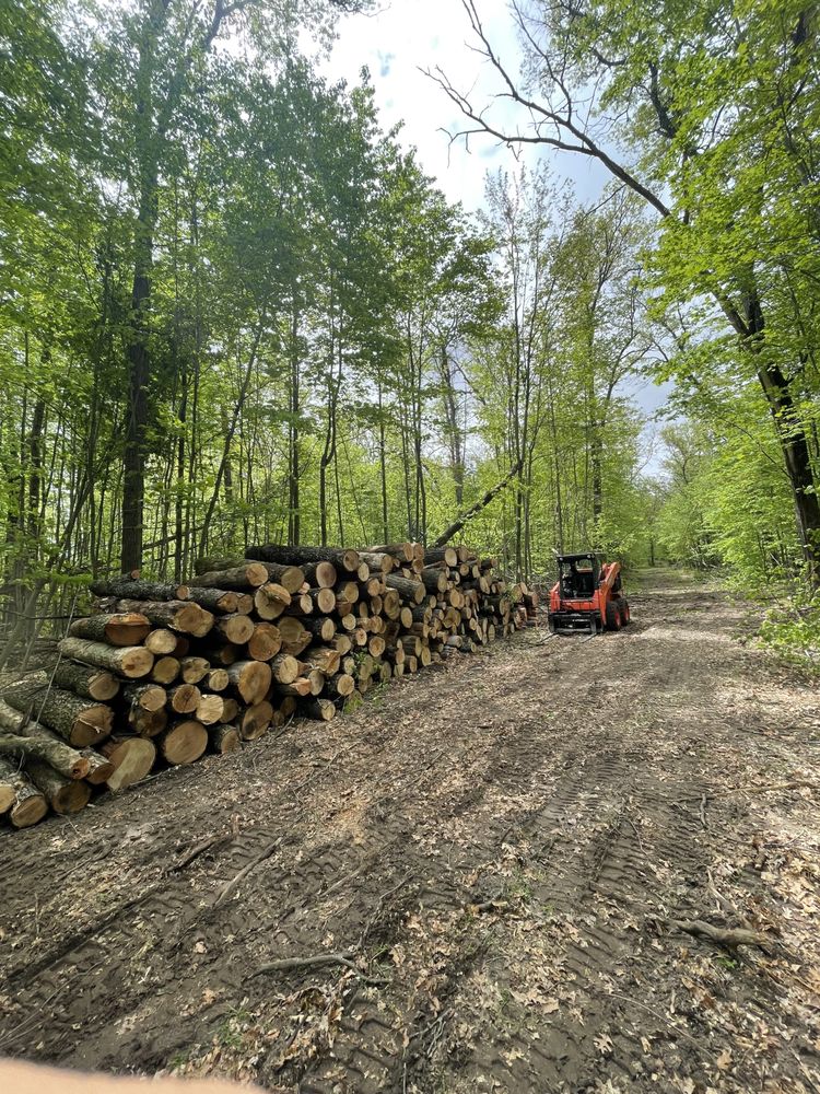 RYANS FIREWOOD Updated October 2024 11 Photos 4476 M72 E