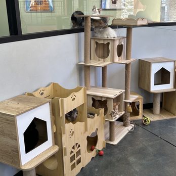 Miko's Pet Supplies - Pet Stores Near Me - West Covina, California Miko's Pet Supplies - Pet Stores Near Me - West Covina, California