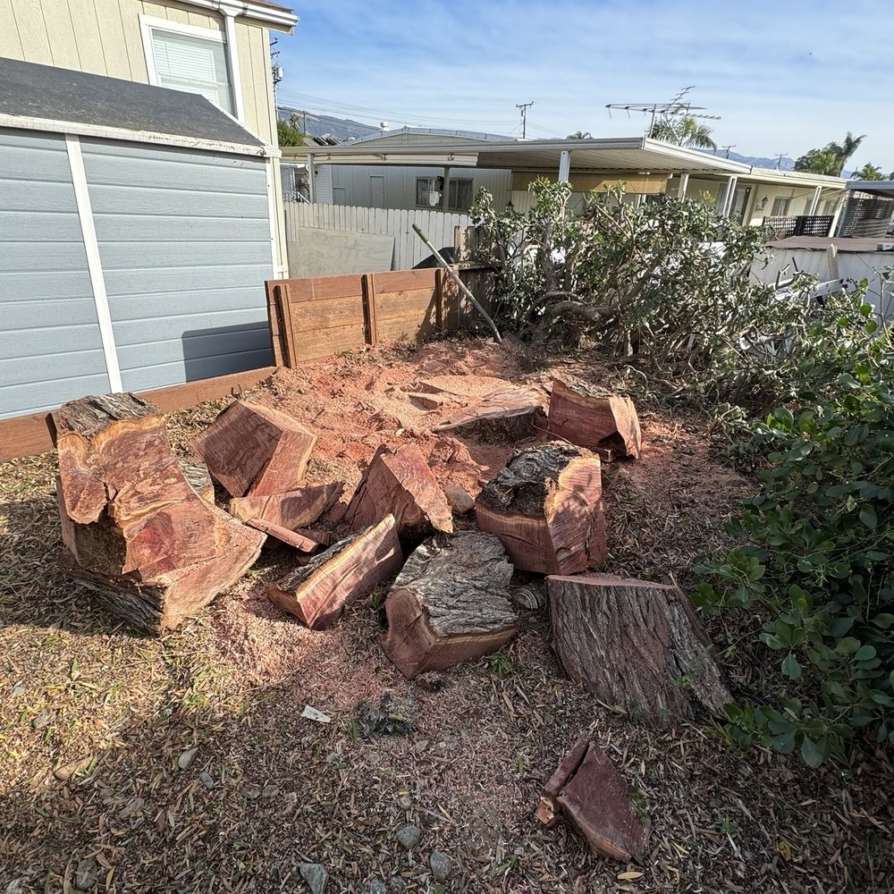 Chavez Landscaping - Tree removal - Junk Removal & Hauling Near Me