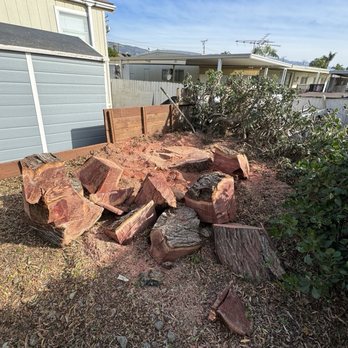 Chavez Landscaping - Tree removal - Junk Removal & Hauling Near Me