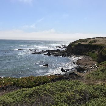 Fiscalini Ranch Preserve - Beaches Near Me - Cambria, California Fiscalini Ranch Preserve - Beaches Near Me - Cambria, California