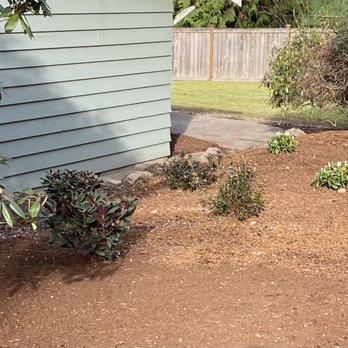 Sauz Landscaping - Lawn Services Near Me Sauz Landscaping - Lawn Services Near Me