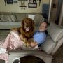 Photo of Big Lake Golden Retrievers