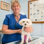 Photo of Country Squire Animal Hospital