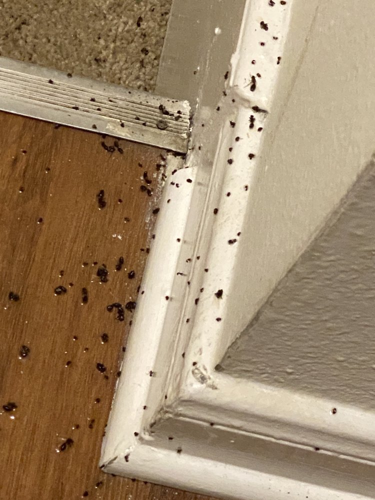 CALYPSO BAY APARTMENTS Updated June 2024 15 Photos 3251 Wall Blvd