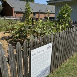 Tennessee Agricultural Museum - Garden