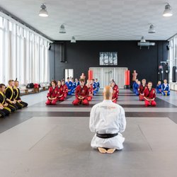 Lemmens Martial Arts Academy
