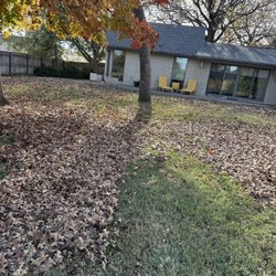 Campbell & Sons Lawn Services - Leaf removal