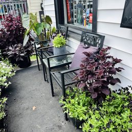 Front garden