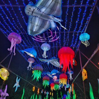 Elite Experience: Dragon Lights Reno - Dragon Lights - Under the Sea - Yelp Events Near Me - Reno, Nevada