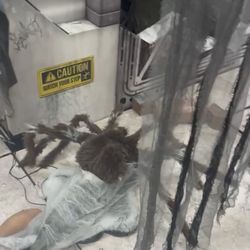 Spirit Halloween