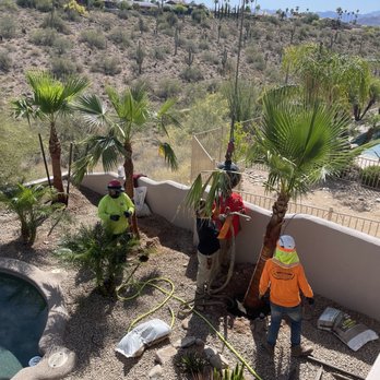 Moon Valley Nurseries - Nurseries & Gardening Near Me - Mesa, Arizona