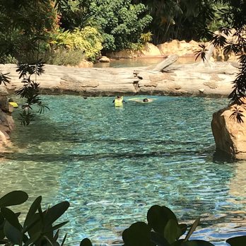 Discovery Cove - Lazy river - Amusement Parks Near Me - Orlando, Florida Discovery Cove - Lazy river - Amusement Parks Near Me - Orlando, Florida