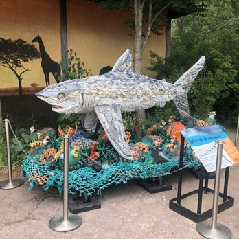 Toronto Zoo - Shark made out of plastic - Zoos Near Me - Toronto, Ontario Toronto Zoo - Shark made out of plastic - Zoos Near Me - Toronto, Ontario