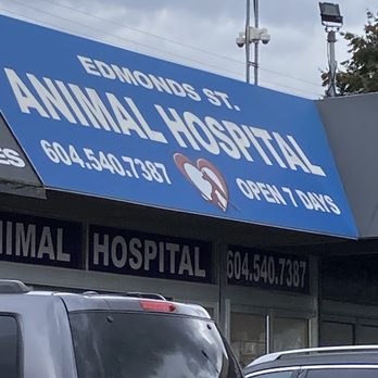 Edmonds St. Animal Hospital - Location of horrible veterinary clinic I recommend never going to! - Veterinarians Near Me - Burnaby, British Columbia Edmonds St. Animal Hospital - Location of horrible veterinary clinic I recommend never going to! - Veterinarians Near Me - Burnaby, British Columbia