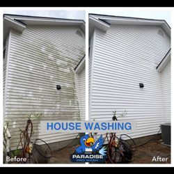 Paradise Pro Wash