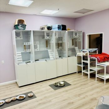 Whiskerwood Haven - Animal Shelters Near Me - San Francisco, California