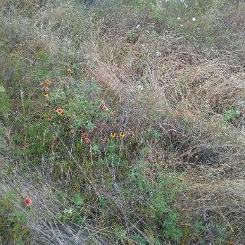 BROKEN BOW RANCH - Updated March 2026 - 45 Photos & 62 Reviews - 1755 E ...