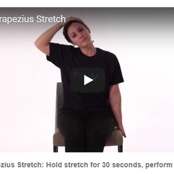 CardioFlex Therapy - Upper Trapezius Stretch - Physical Therapy Near Me - Davie, Florida
