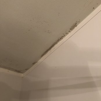 Chelsea Ridge Apartments - More mold - Apartments Near Me - Wappingers Falls, New York Chelsea Ridge Apartments - More mold - Apartments Near Me - Wappingers Falls, New York
