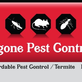 Bug Begone Pest Control - Treating Bed Bugs
to ants Bug Begone Pest
Control does it all. - Pest Control Near Me Bug Begone Pest Control - Treating Bed Bugs
to ants Bug Begone Pest
Control does it all. - Pest Control Near Me