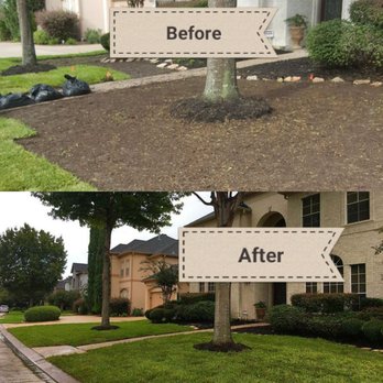 Clean My House - Before and after of a beautiful sod job by Clean My House. Call 713-401-8640 to get your free quote. Check out Cleanmyhousetoo.com - Lawn Services Near Me - Katy, Texas
