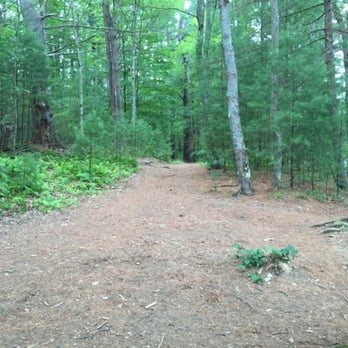 Mill Pond Recreation Area - View of a trail - Parks Near Me - West Newbury, Massachusetts