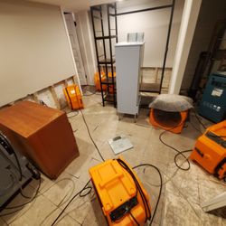 Water Damage Emergency Restoration - Flooring and walls removed along with a few of the fans used to dry the space and the studs