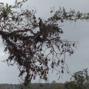 Tomoka State Park - Parks Near Me - Ormond Beach, Florida