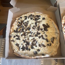 The funghi pizza with ricotta cheese was incredible The funghi pizza with ricotta cheese was incredible