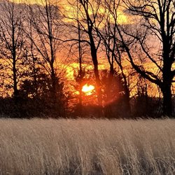 Rocky Fork Metro Park - Sunrise