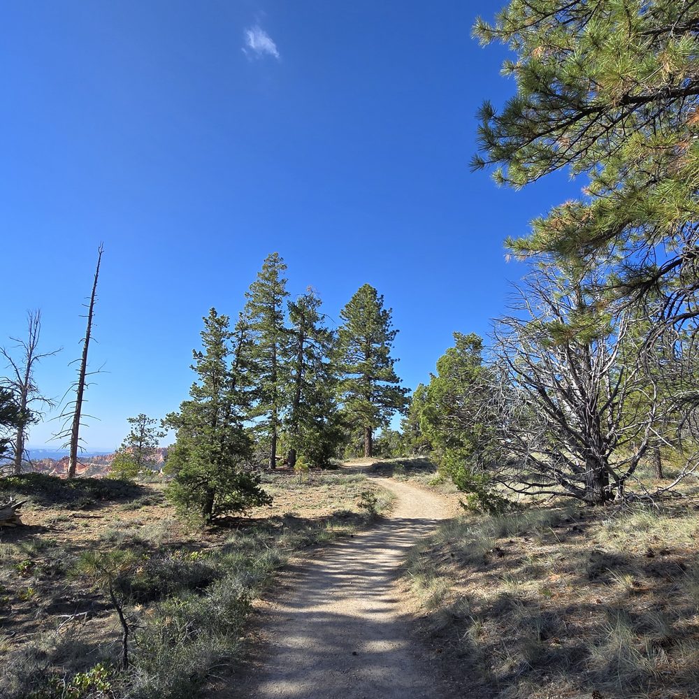 Fairyland Loop Trail - Hiking Near Me - Bryce Canyon, Utah