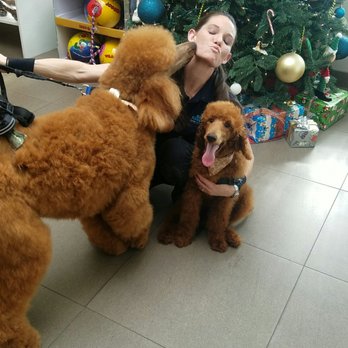 The Animal Keeper - Pet Training Near Me - Oceanside, California