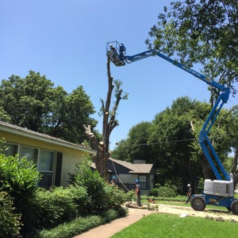 Blue Ox Urban Forestry - Tree Services Near Me Blue Ox Urban Forestry - Tree Services Near Me