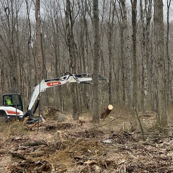 Vaughan's Tree Service and Landscaping - Tree Services Near Me - Tarentum, Pennsylvania Vaughan's Tree Service and Landscaping - Tree Services Near Me - Tarentum, Pennsylvania