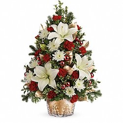 What I ordered