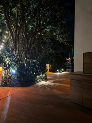 2201 Collins Ave by null