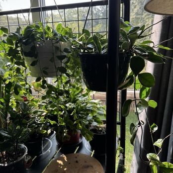 Famous In Oregon - Nurseries & Gardening Near Me - Prosper, Texas