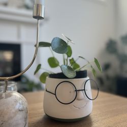 Juniper & Co