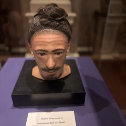 National Museum of Ireland- Archaeology - Clonycavan Man recreation