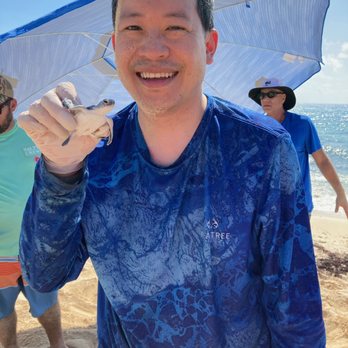 Explora Caribe - (actually, once sea turtles are in the yellow bucket, we aren't supposed to take them out) - Tours Near Me - Playa del Carmen, ROO