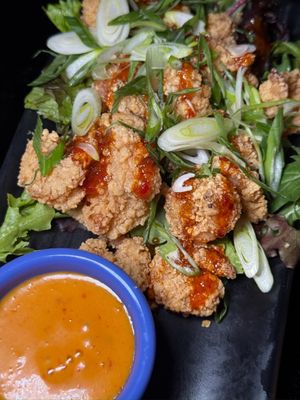 The Mean Fiddler by null