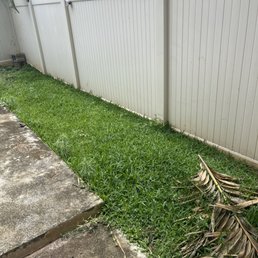 Before: weeds & overgrown