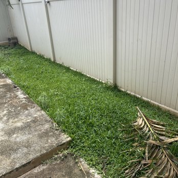 JBL Landscaping Services - Before: weeds & overgrown - Landscaping Near Me