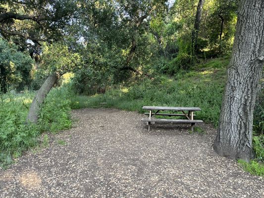 Marshall Canyon Regional Park by null