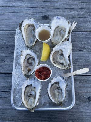 Island Creek Oyster Retail Shop by null